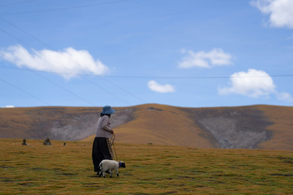 a woman is walking with a sheep in a field