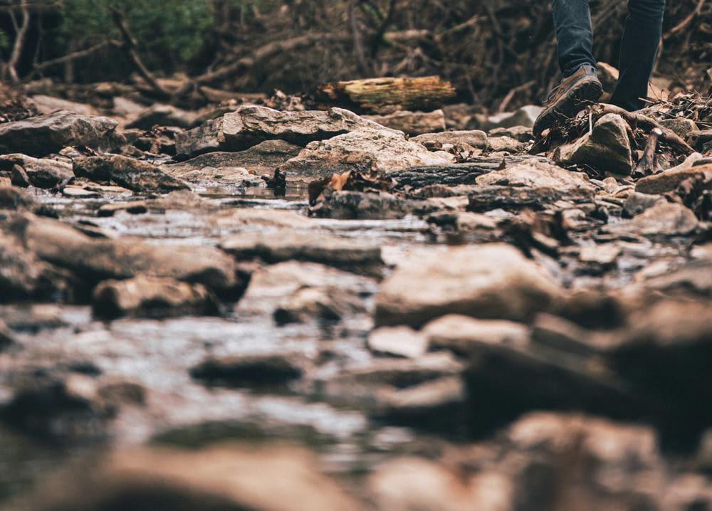 a person walking across a rocky stream in the woods