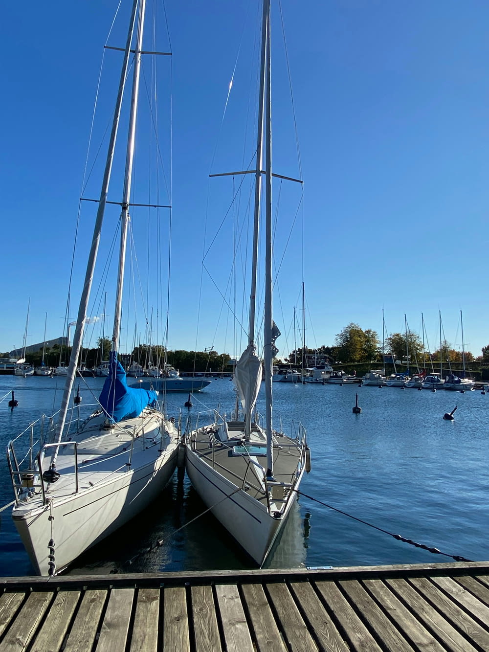 two sailboats docked at a dock on a sunny day