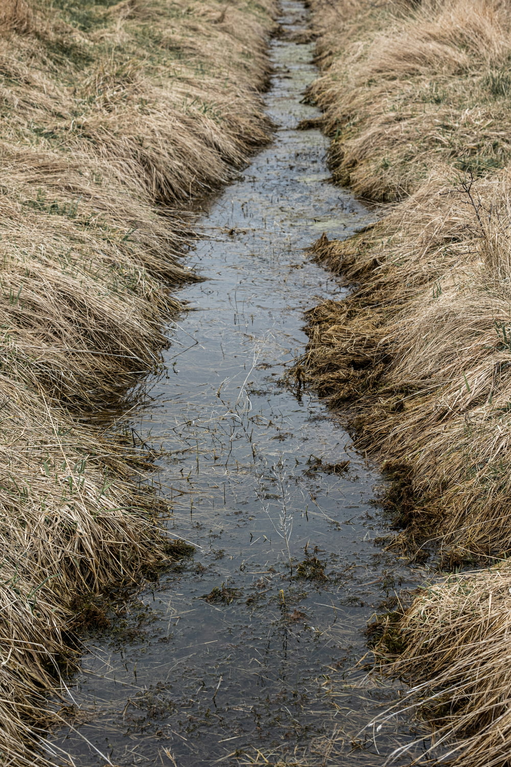a stream of water running through a dry grass field