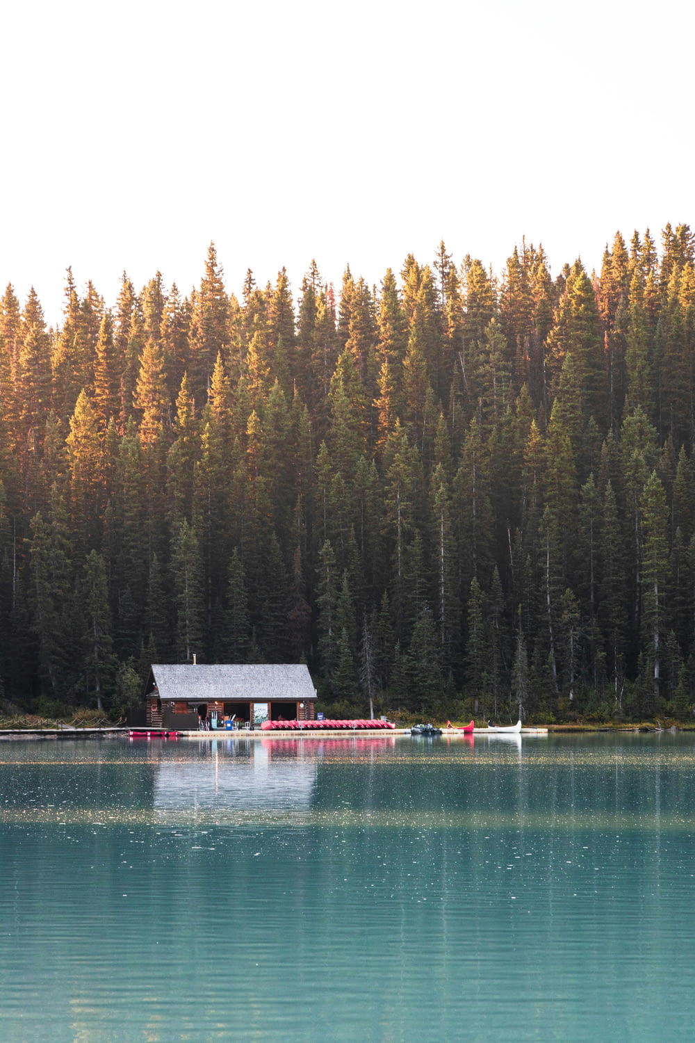 ein Haus an einem See, umgeben von Bäumen