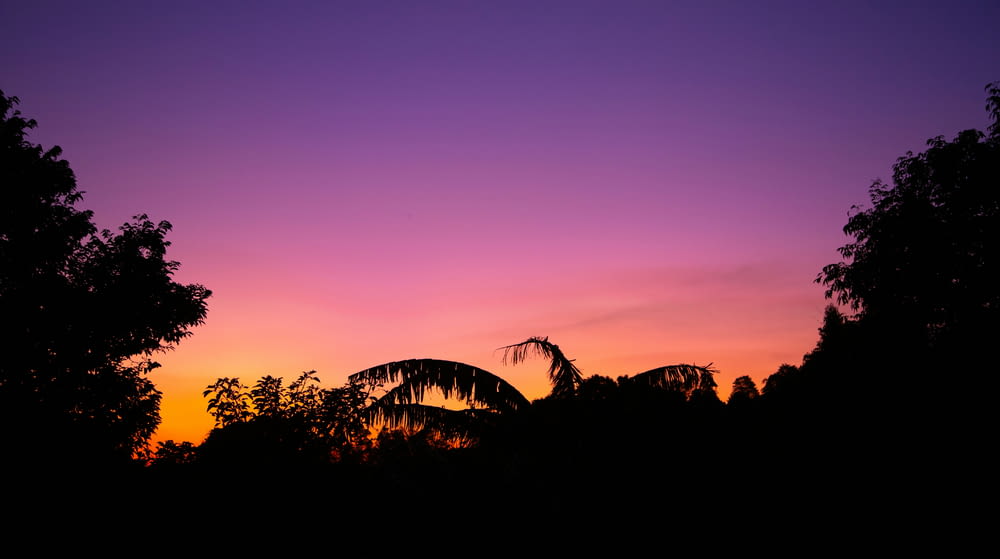 a purple and pink sky with trees in the foreground