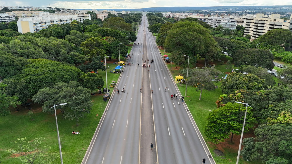 an aerial view of a city street with a long line of trees