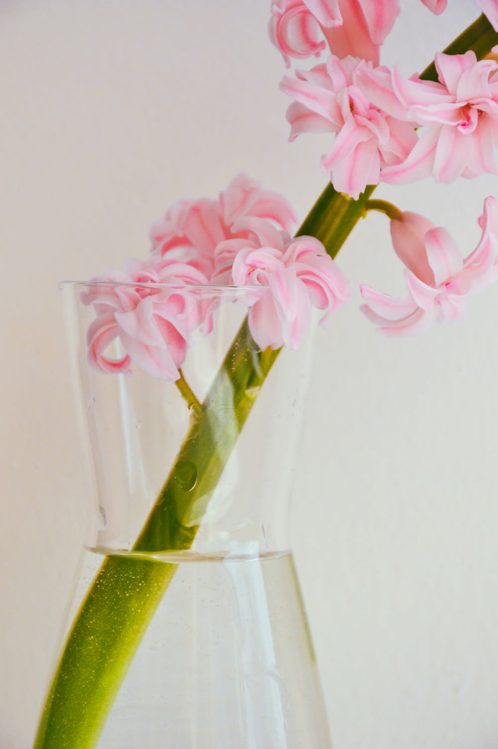 a glass vase filled with pink flowers on top of a table
