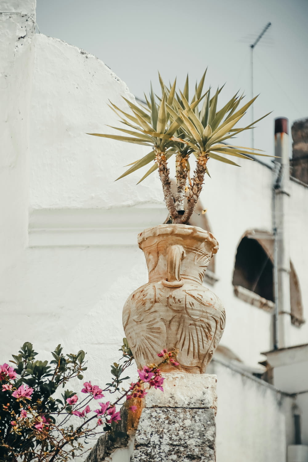a potted plant sitting on top of a stone pillar