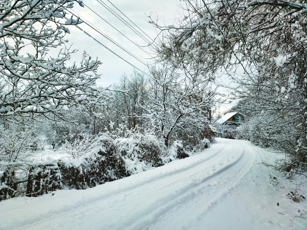 a snow covered road surrounded by trees and power lines