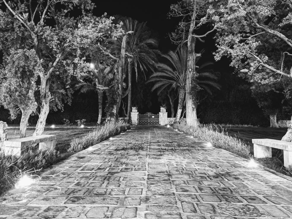 a black and white photo of a walkway at night