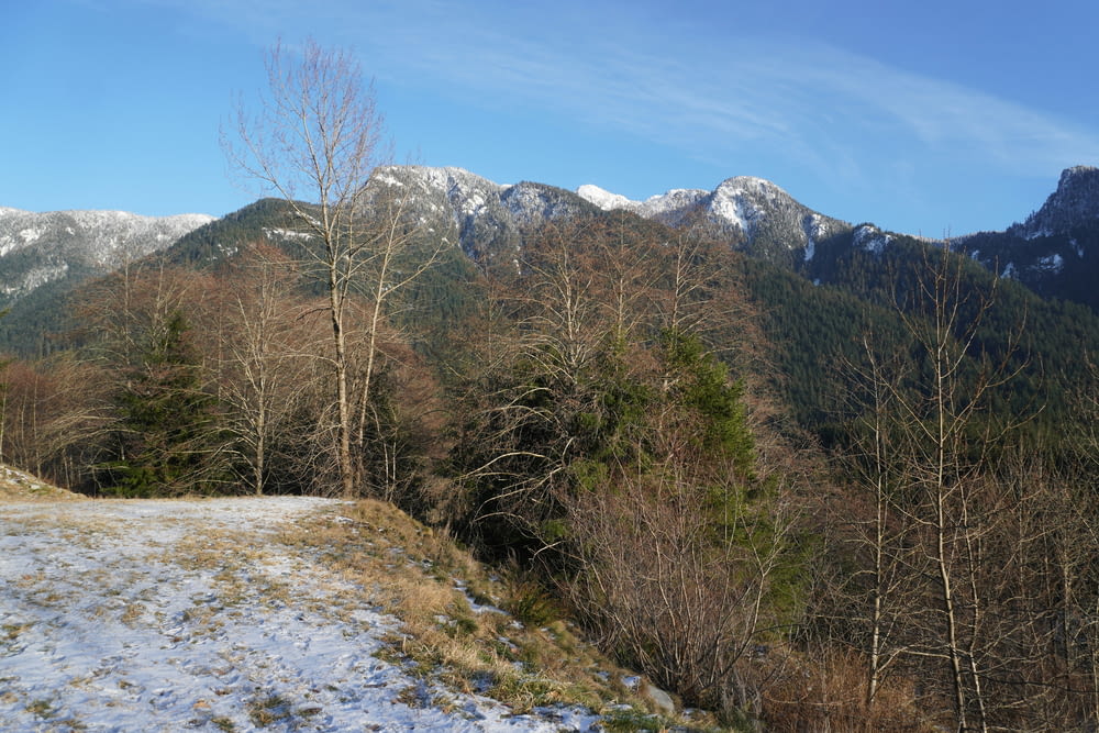 una veduta di una catena montuosa con la neve al suolo