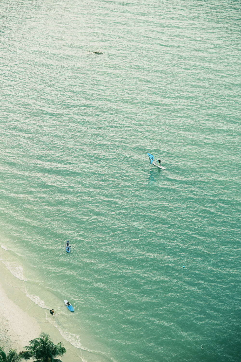 물 위에서 서핑 보드를 타는 사람들의 그룹