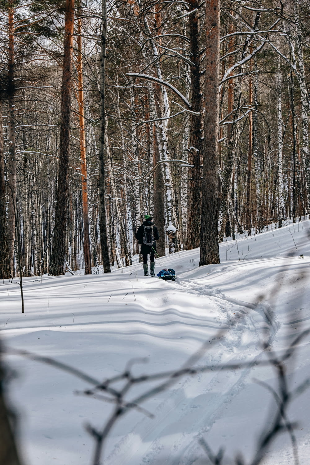 a person walking in the snow in the woods
