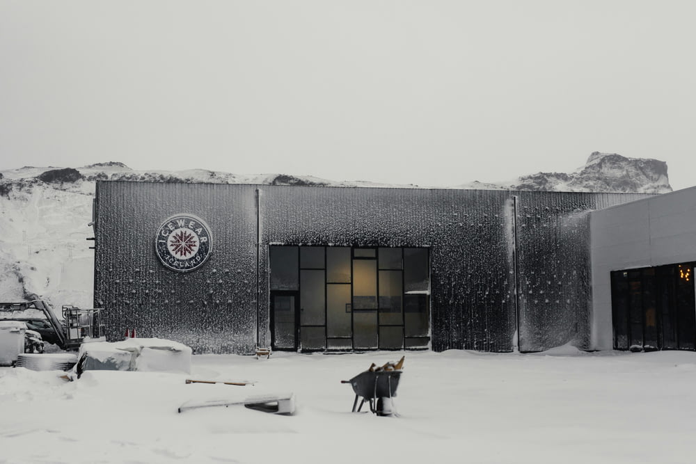 a snow covered building with a dog statue in front of it