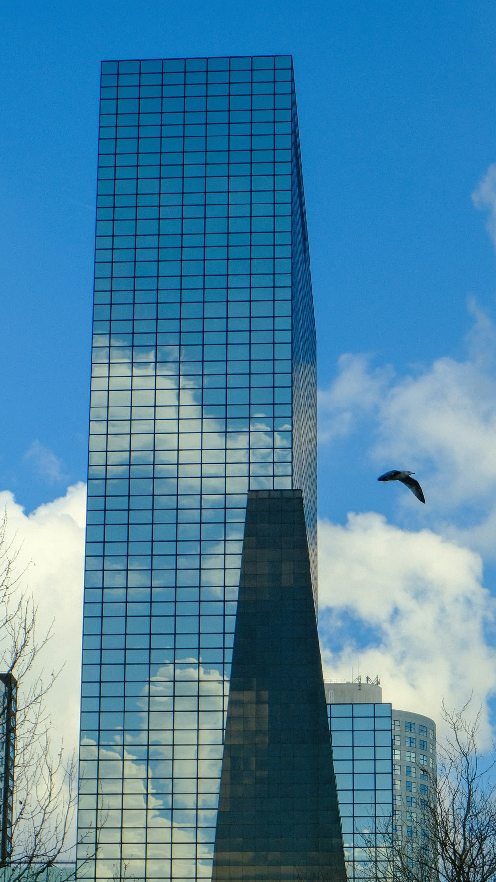 a bird flying in front of a tall building
