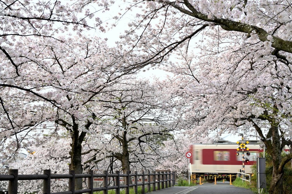 a red and white train traveling down a tree lined road