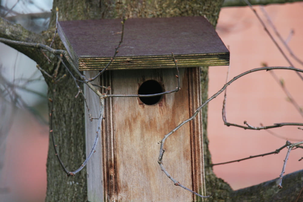 a bird house hanging off of a tree