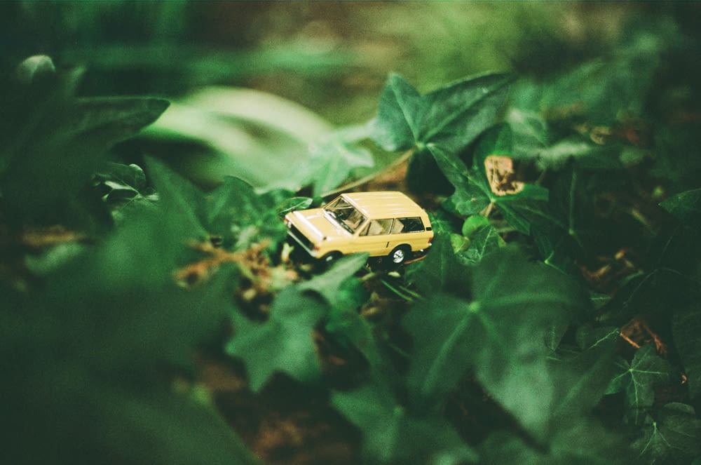 a toy car is sitting in the leaves of a bush