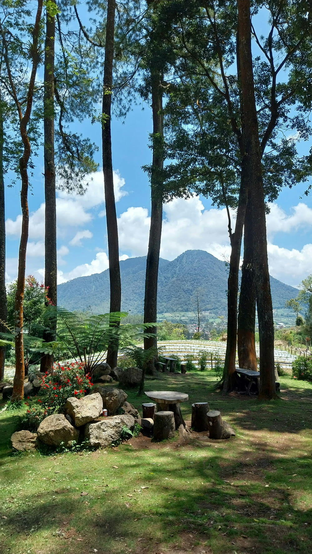 a park with a bench and trees and a mountain in the background