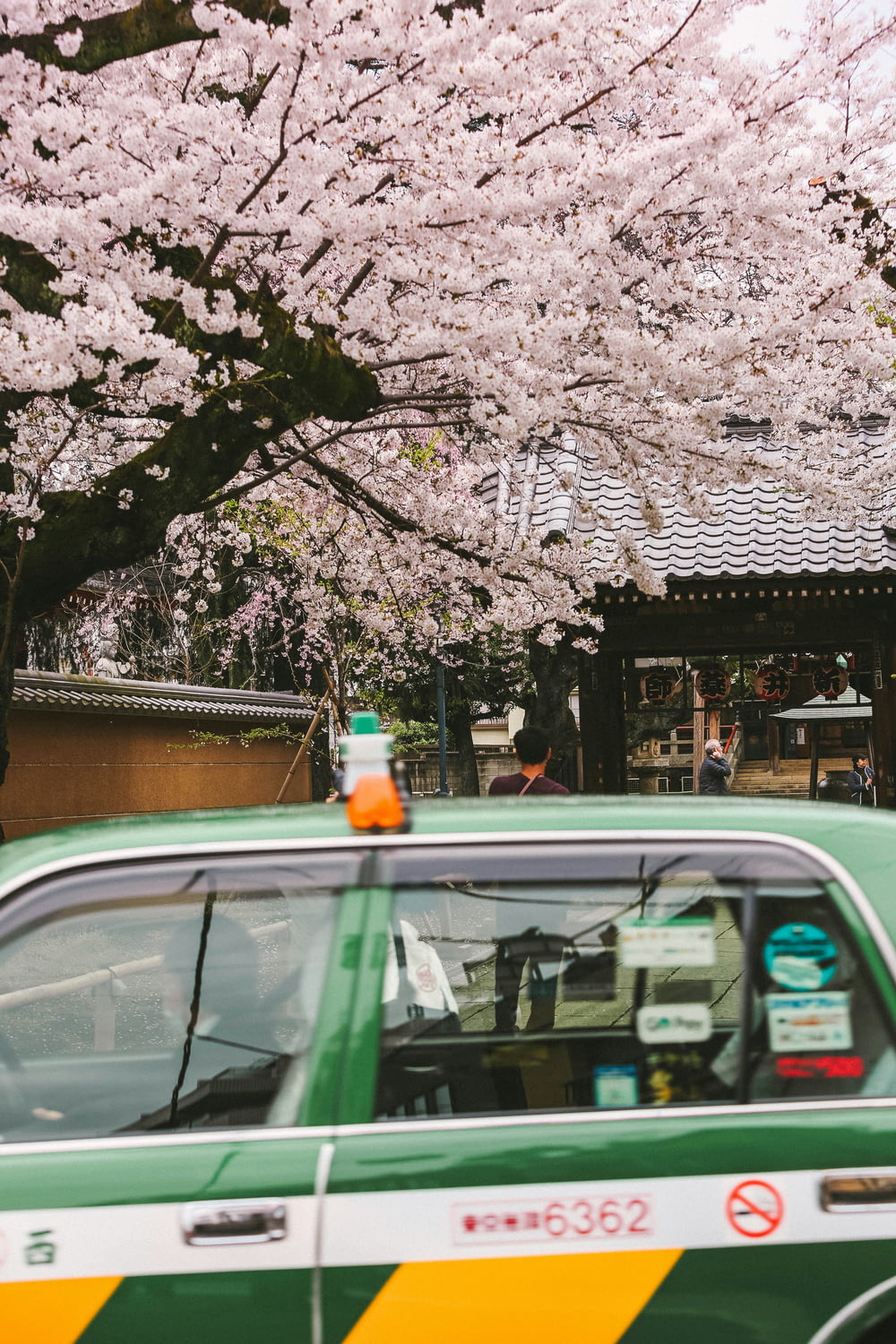 un taxi verde che passa davanti a un albero di ciliegio in fiore