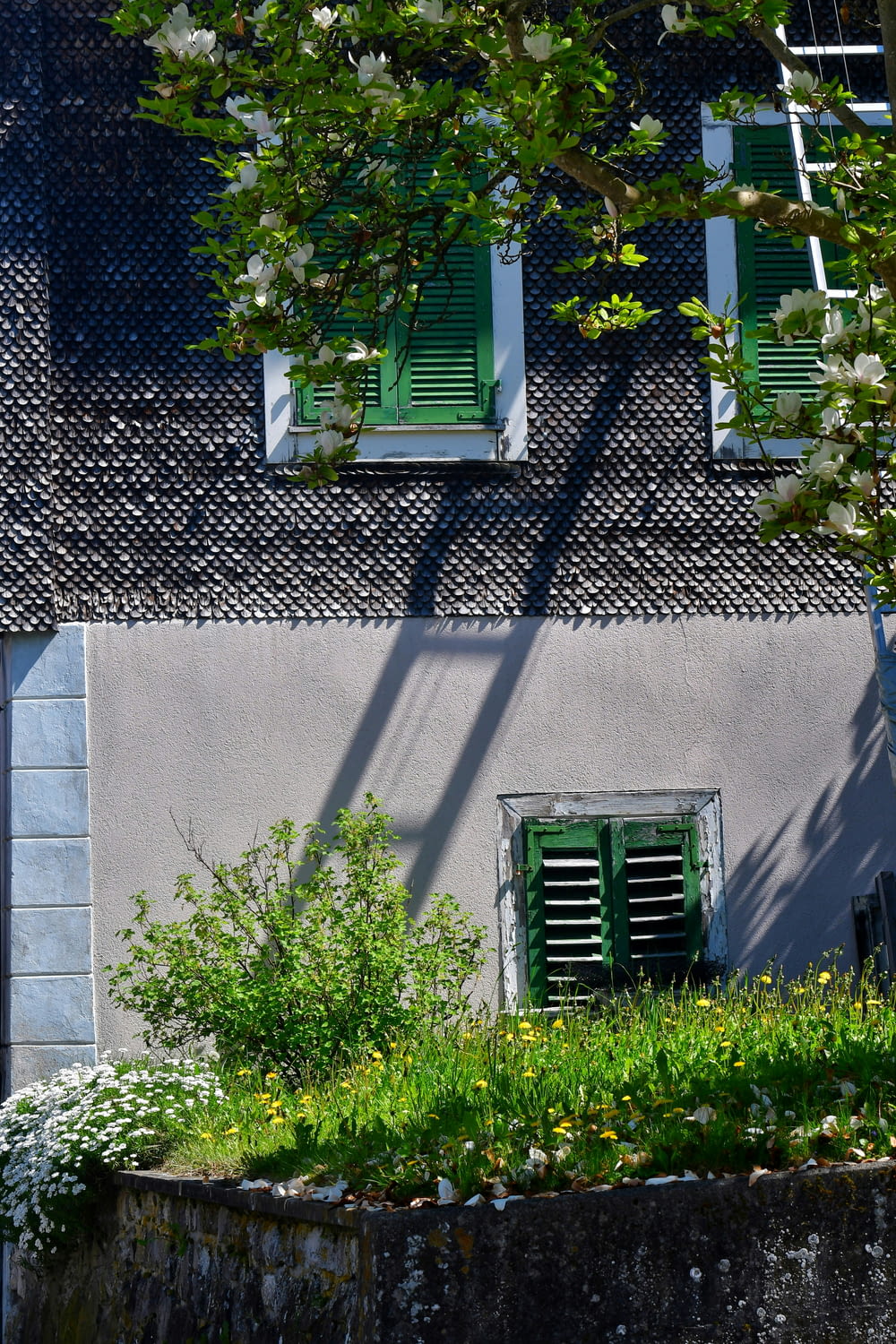 a building with green shutters and a tree in front of it