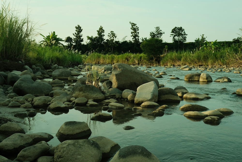 a river with rocks and grass in the background