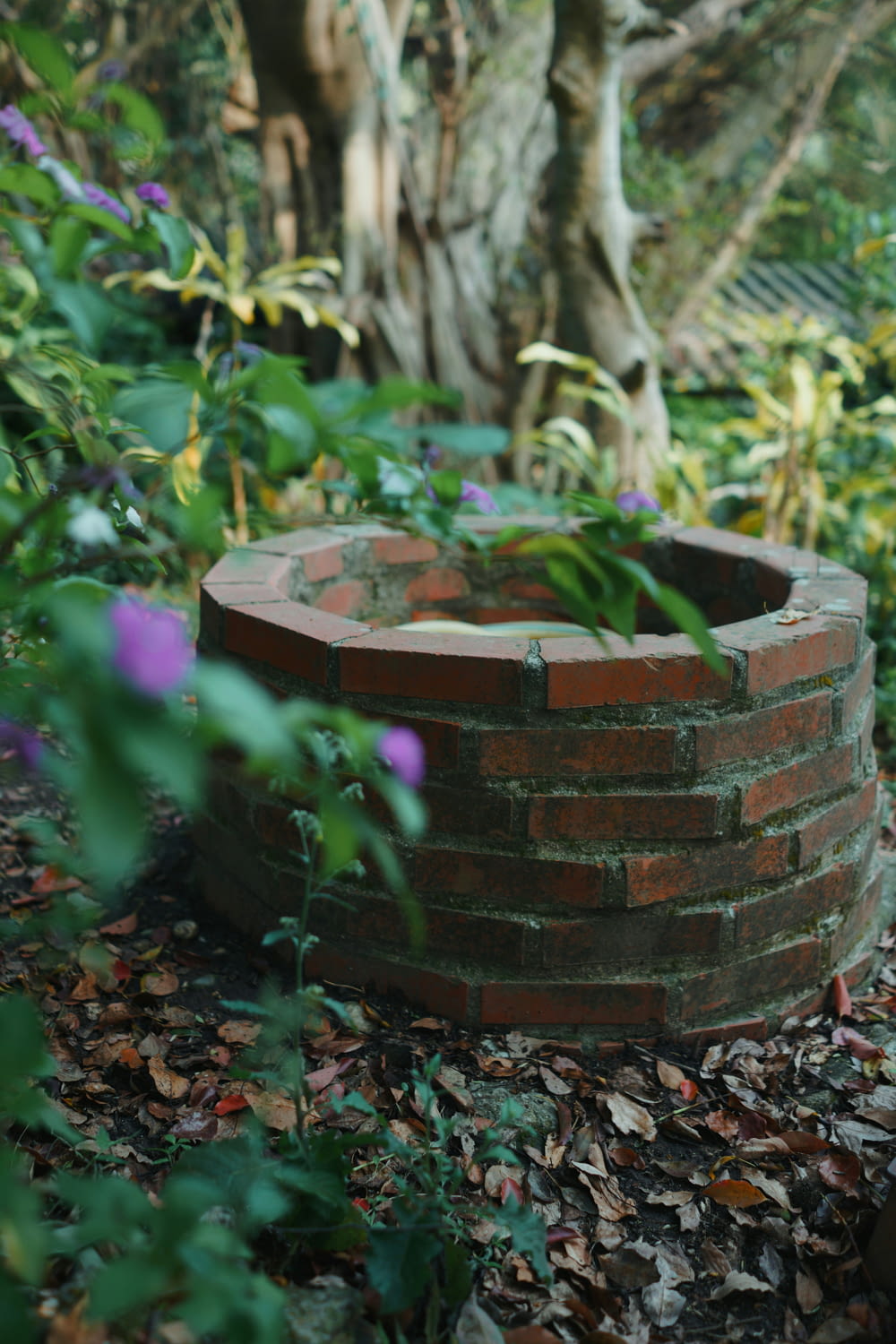 a brick fire pit in the middle of a garden