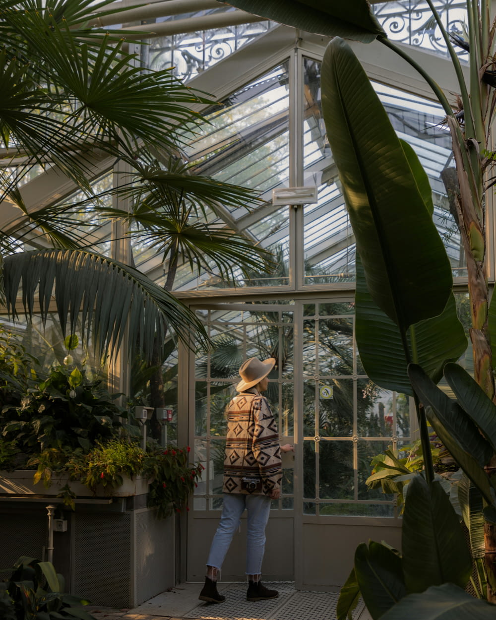 a person standing in a greenhouse with a lot of plants