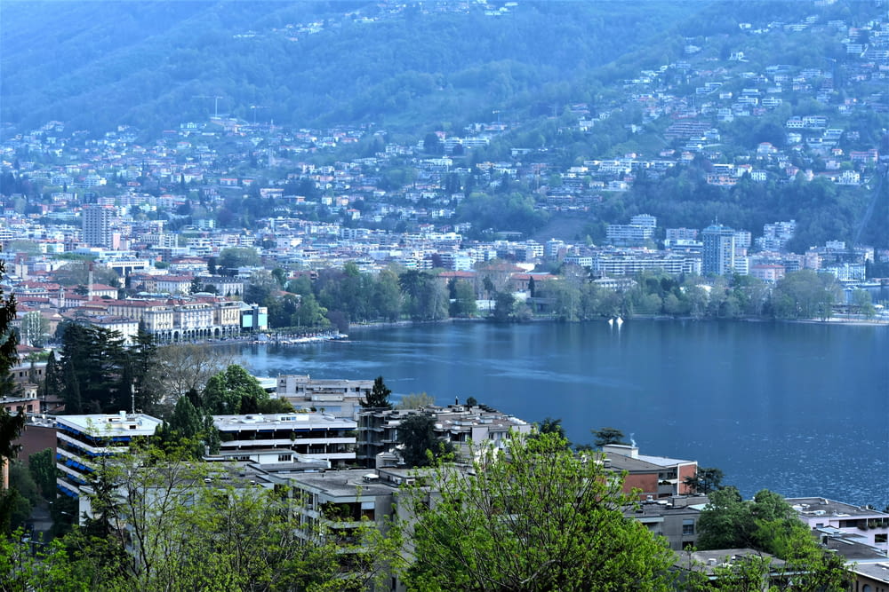 a view of a city with a lake in the foreground