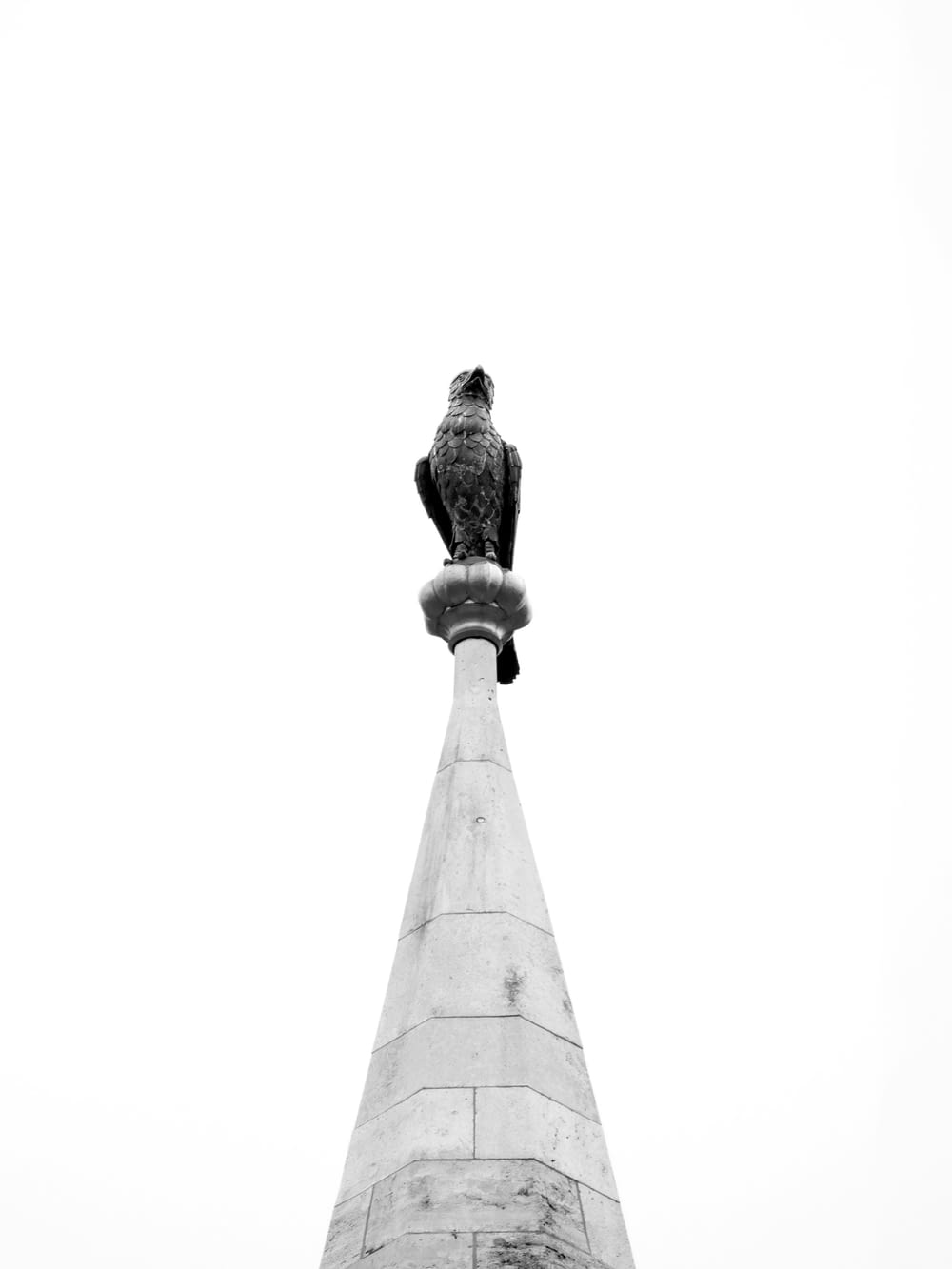 a black and white photo of a statue of a bird