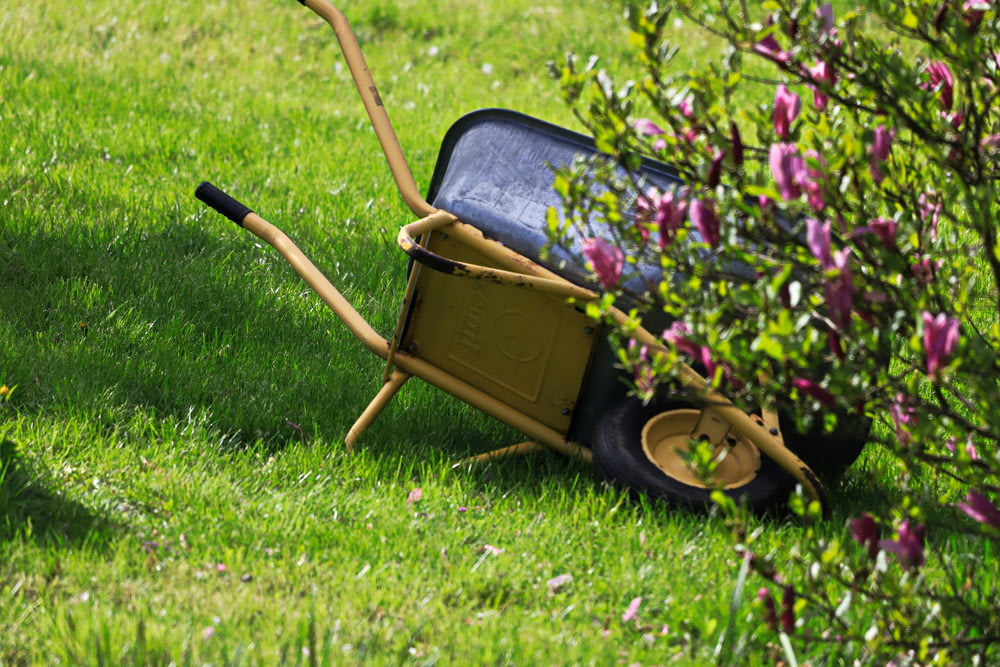 a wheelbarrow in the grass next to a bush
