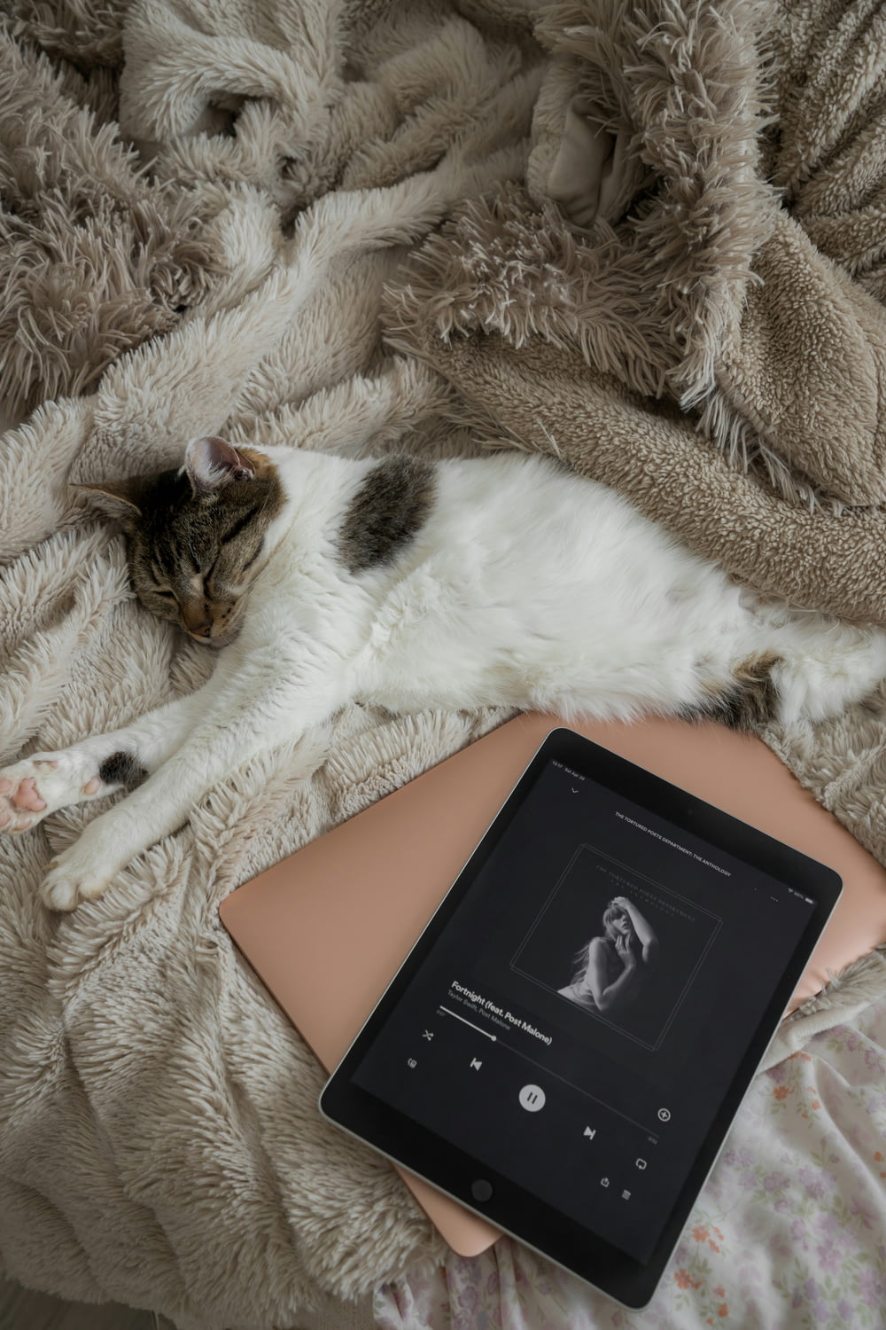 a cat laying on top of a bed next to a tablet