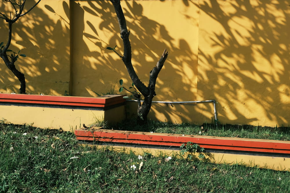 a red bench in front of a yellow wall