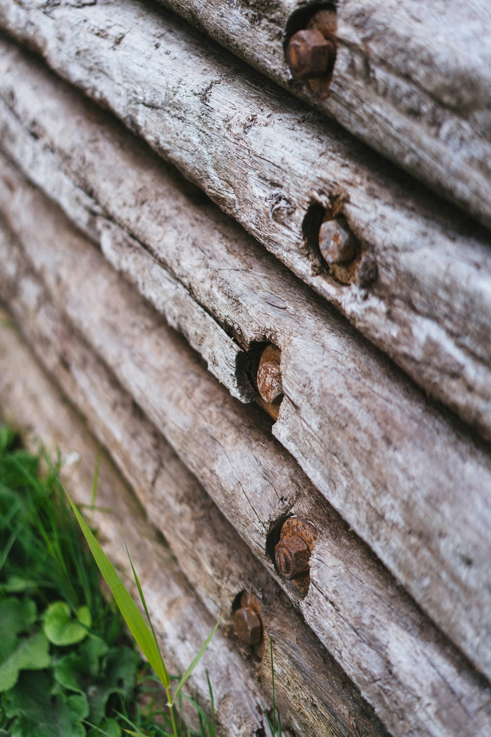 a close up of a log with holes in it