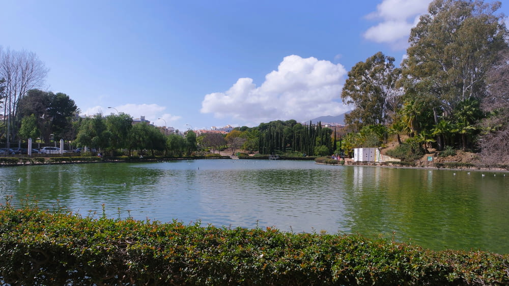 a lake surrounded by a lush green park