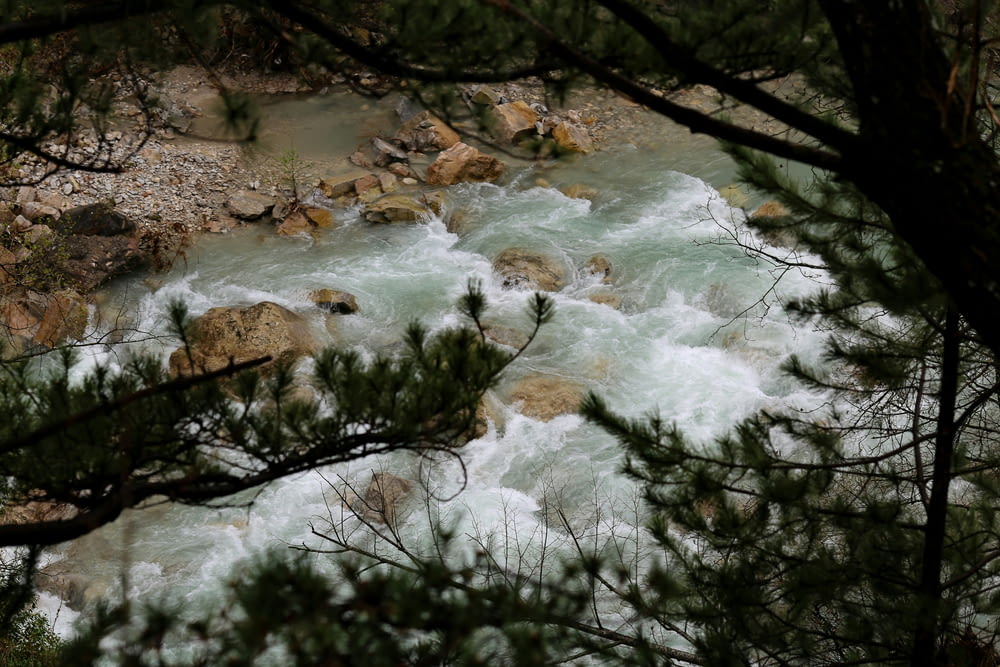 un río que fluye a través de un bosque lleno de rocas