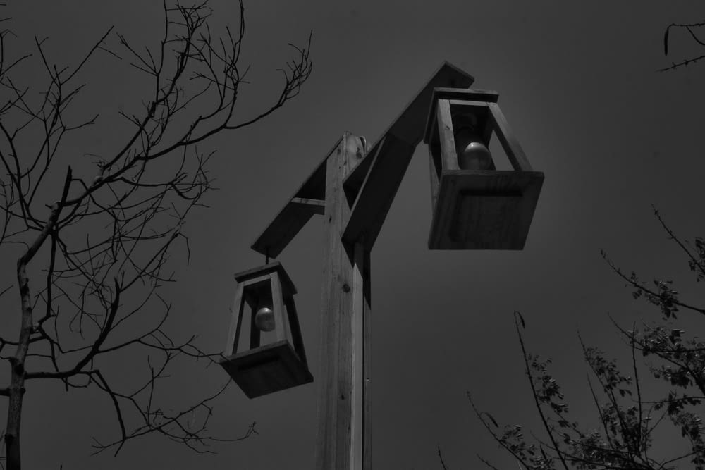 a black and white photo of two street lights