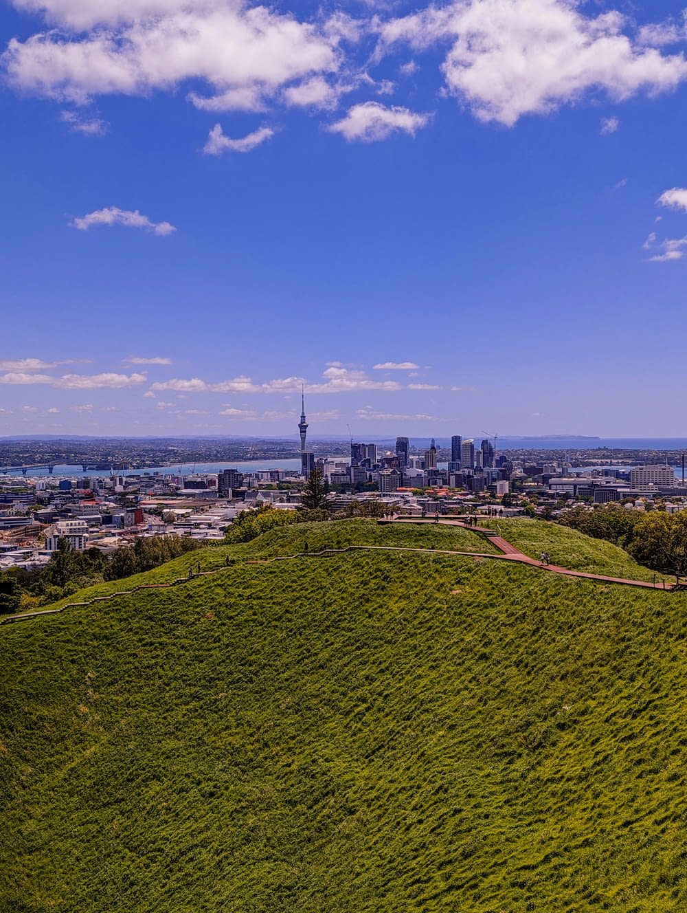 a grassy hill with a city in the background