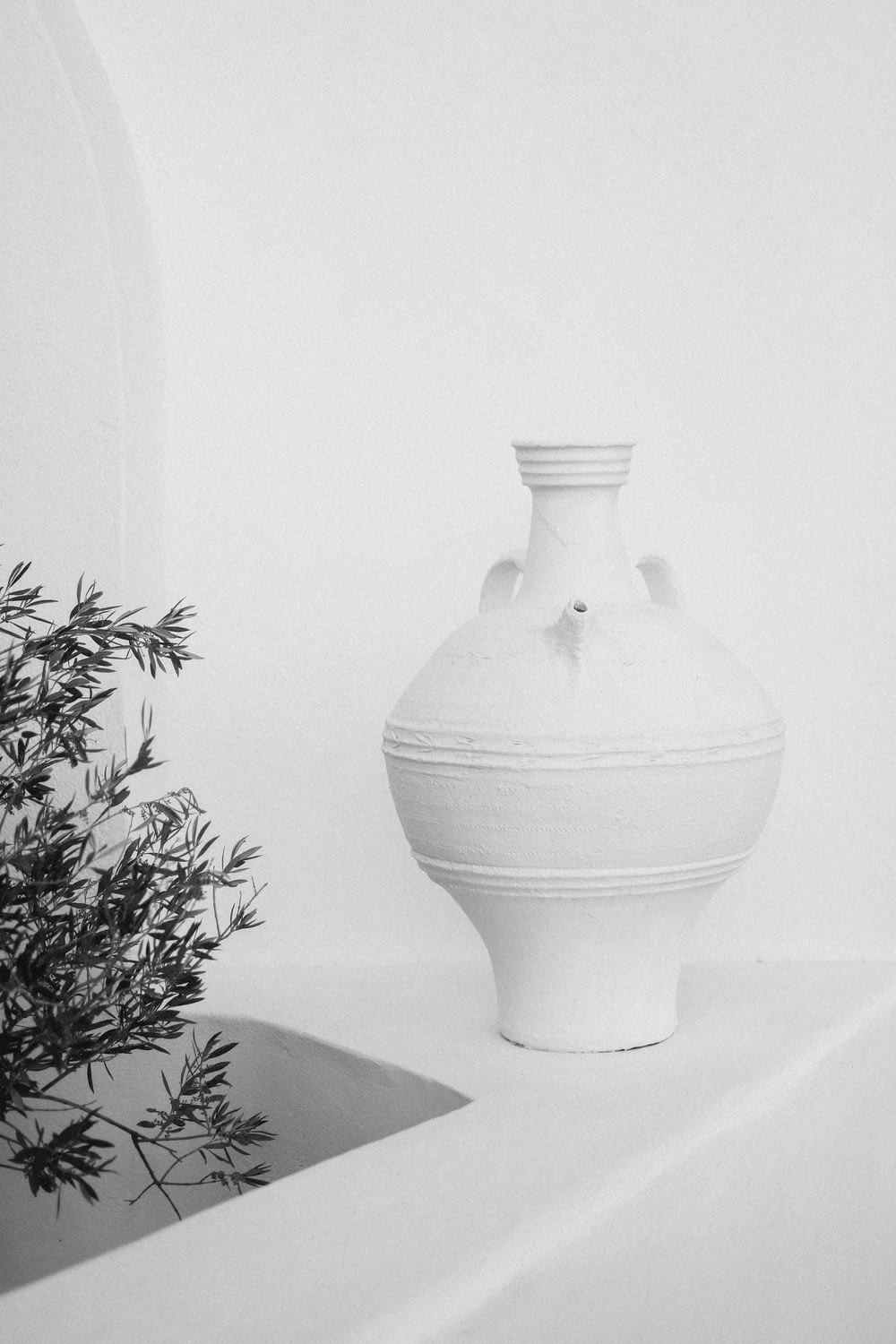 a black and white photo of a vase and a plant