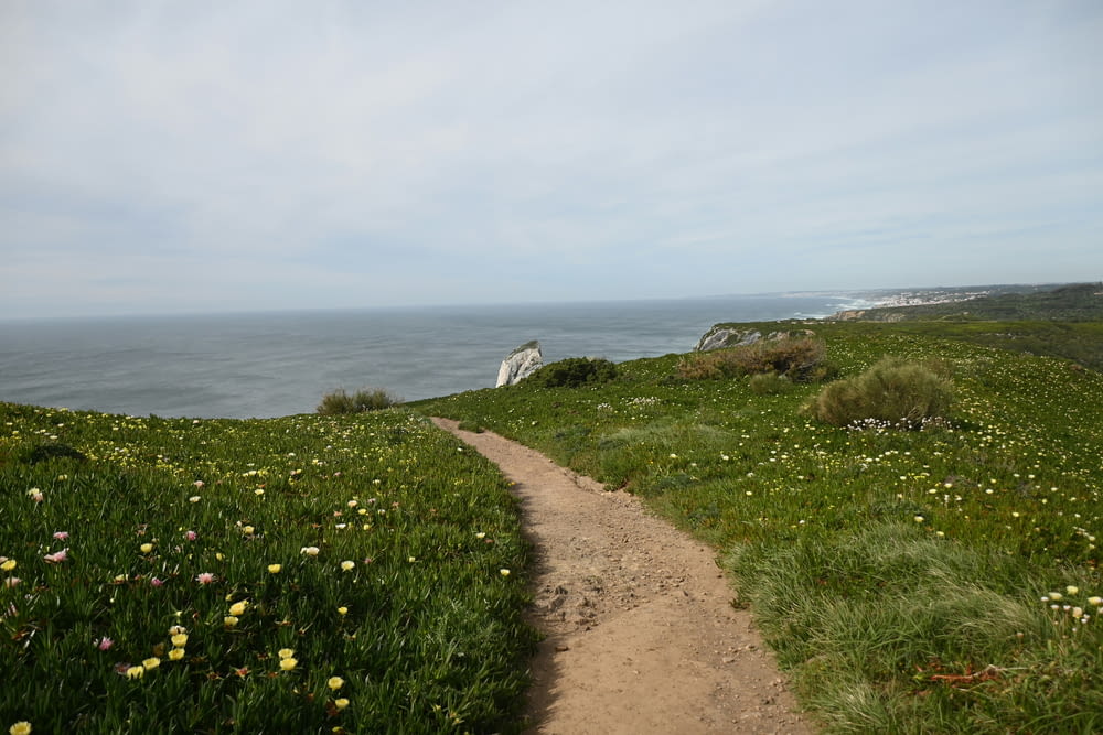 a path leading to the ocean on a grassy hill