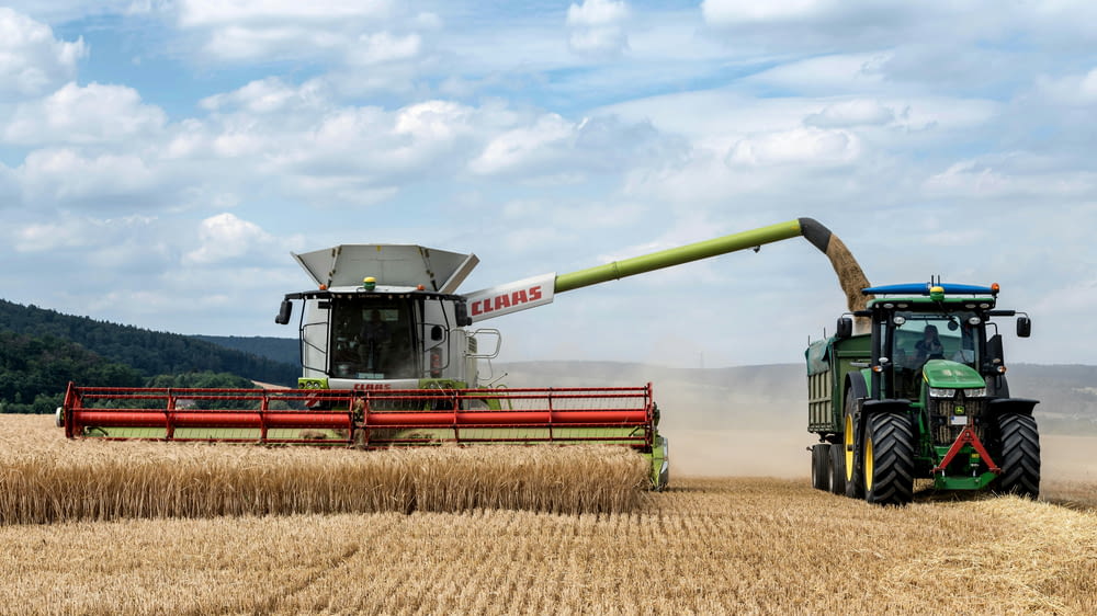 a combine of grain being harvested in a field