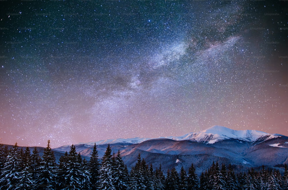 幻想的な冬の流星群と雪をかぶった山々。カルパチア。ウクライナ、ヨーロッパ