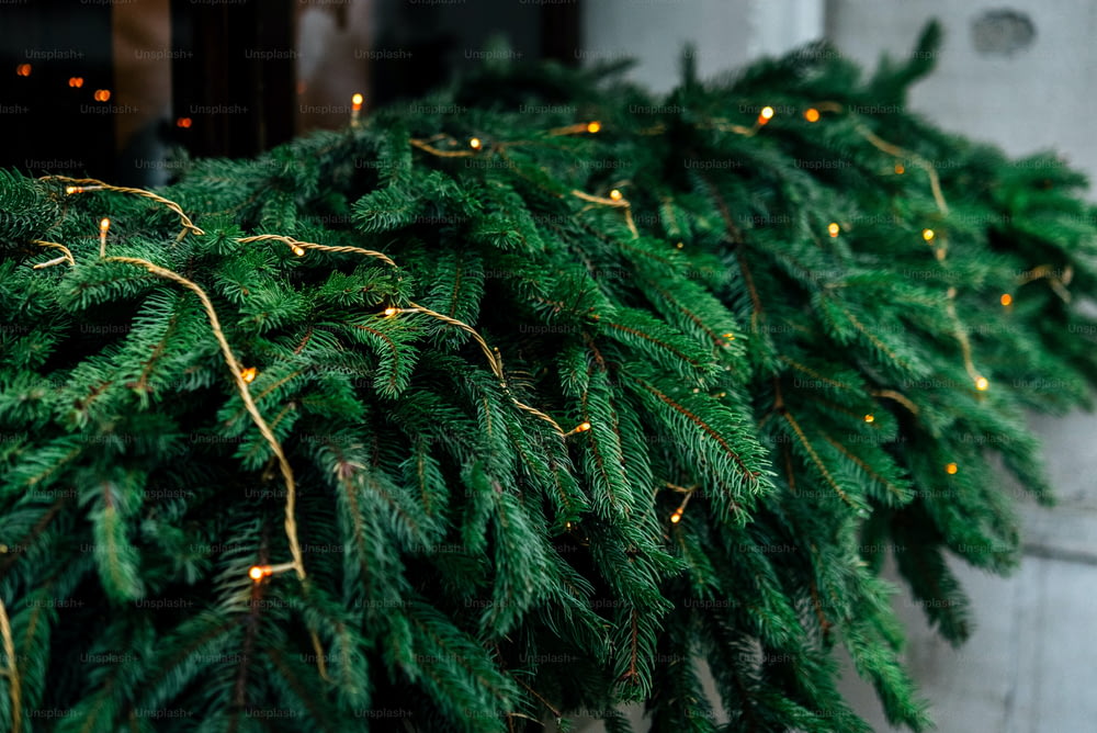 Elegante ghirlanda di Natale di lusso luci sulla finestra e pino verde, decorazione di celebrazione per le vacanze in città