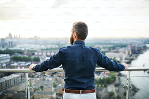 A rear view of hipster businessman standing against London view panorama at sunset.