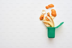 Illustrazione dei rifiuti organici. Spazzatura alimentare. Bucce di banana e di arancia, isolate