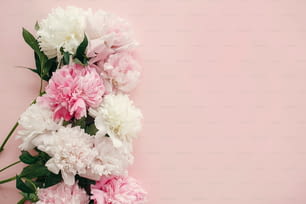 세련 된 모란 플랫 누워. 분홍색과 흰색 모란은 텍스트를위한 공간이있는 파스텔 분홍색 종이에 접해 있습니다. 해피 어머니의 날, 꽃 인사말 카드 모형. 세계 여성의 날. 발렌타인.
