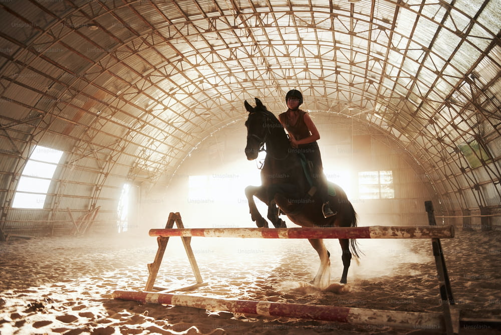 Majestic image of horse horse silhouette with rider on sunset background. The girl jockey on the back of a stallion rides in a hangar on a farm and jumps over the crossbar. The concept of riding.