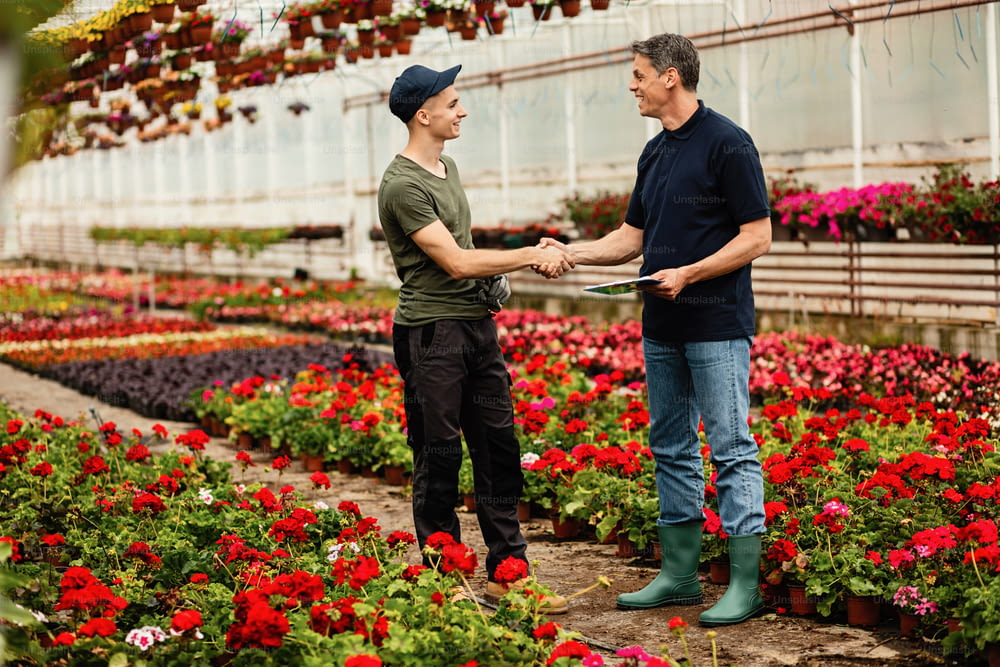 Happy manager shaking hands with young worker while meeting in a greenhouse.