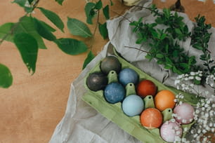 Natural dye easter eggs in carton tray on rustic table with flowers. Modern yellow, pink, blue and grey easter eggs painted with organic onion, beets, red cabbage, carcade tea. Zero waste holiday