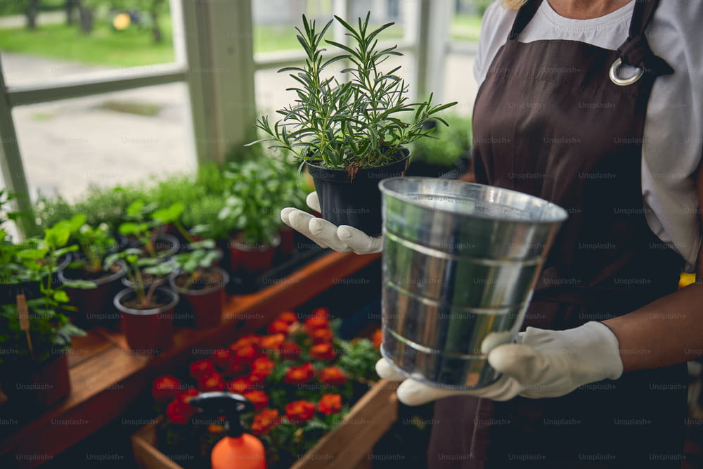 Foto recortada de una horticultora profesional sosteniendo una maceta galvanizada en una mano