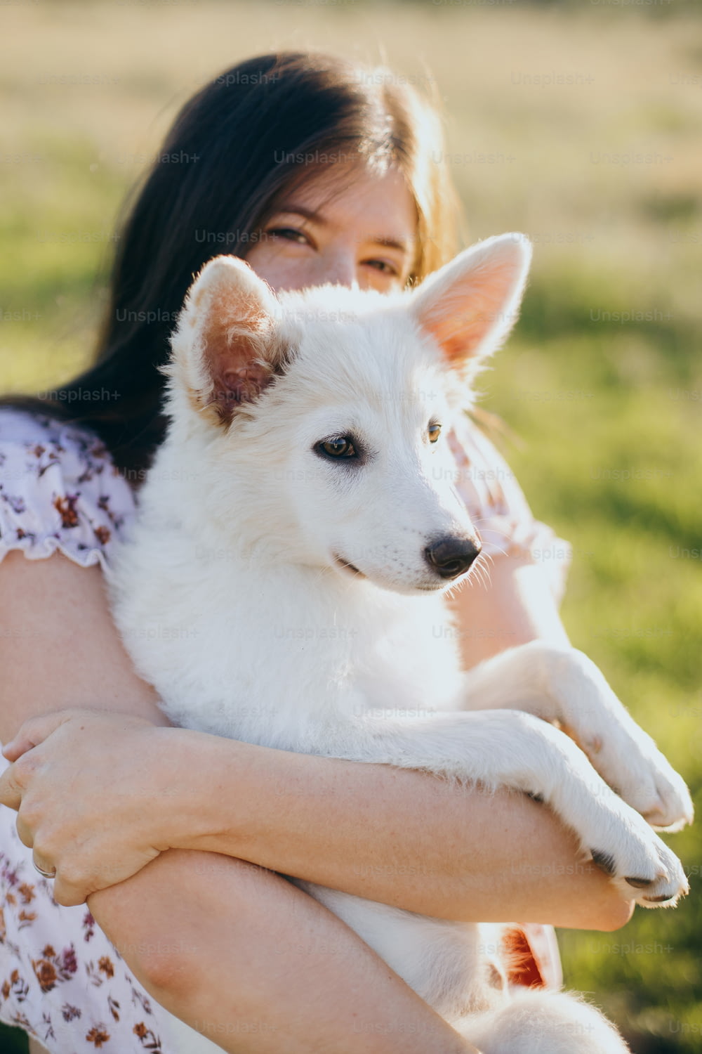 Mujer joven con estilo abrazando a un lindo cachorro blanco en la cálida luz del atardecer en el prado de verano. Chica feliz sosteniendo un adorable cachorro esponjoso. Hermoso momento atmosférico. Concepto de adopción.