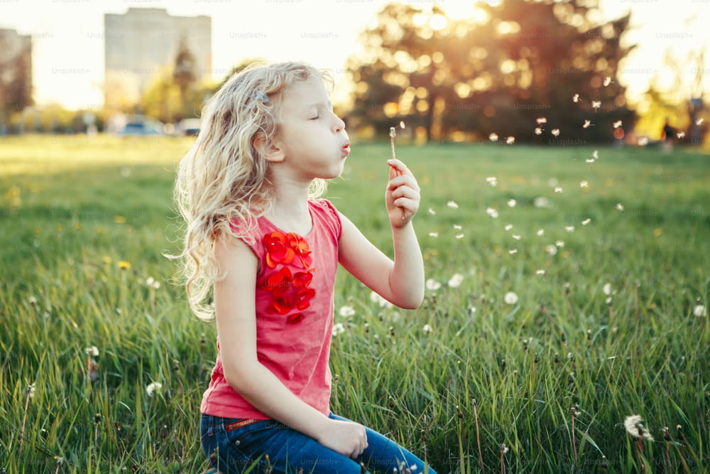 Menina caucasiana adorável bonito soprando dentes-de-leão. Garoto sentado na grama no prado. Diversão ao ar livre Verão sazonal atividades infantis. Criança se divertindo do lado de fora. Estilo de vida feliz na infância.