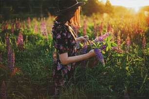 Stilvolle Frau, die Lupine in rustikalem Korb bei Sonnenuntergang im ländlichen Feld sammelt. Ruhiger atmosphärischer Moment. Junges Weibchen sammelt Wildblumen auf Sommerwiese